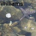 JRWilliams